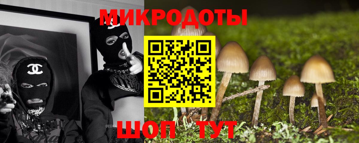 купить наркотик  Псилоцибиновые грибы Psilocybine cubensis  Вход с VPN  Миллерово 